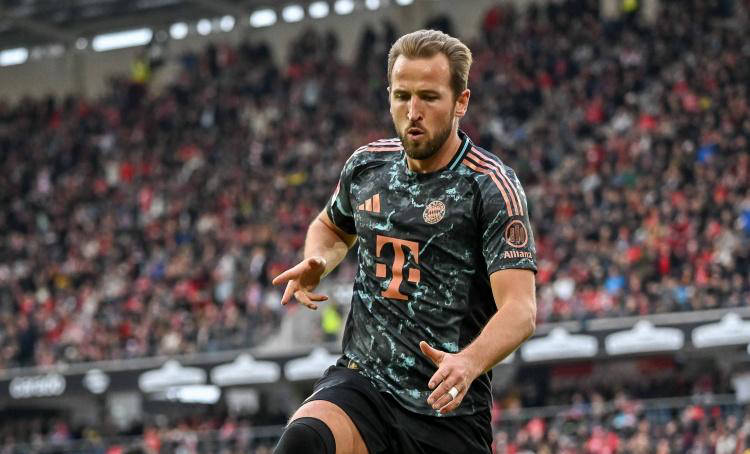 他在欧洲杯 他在欧洲杯