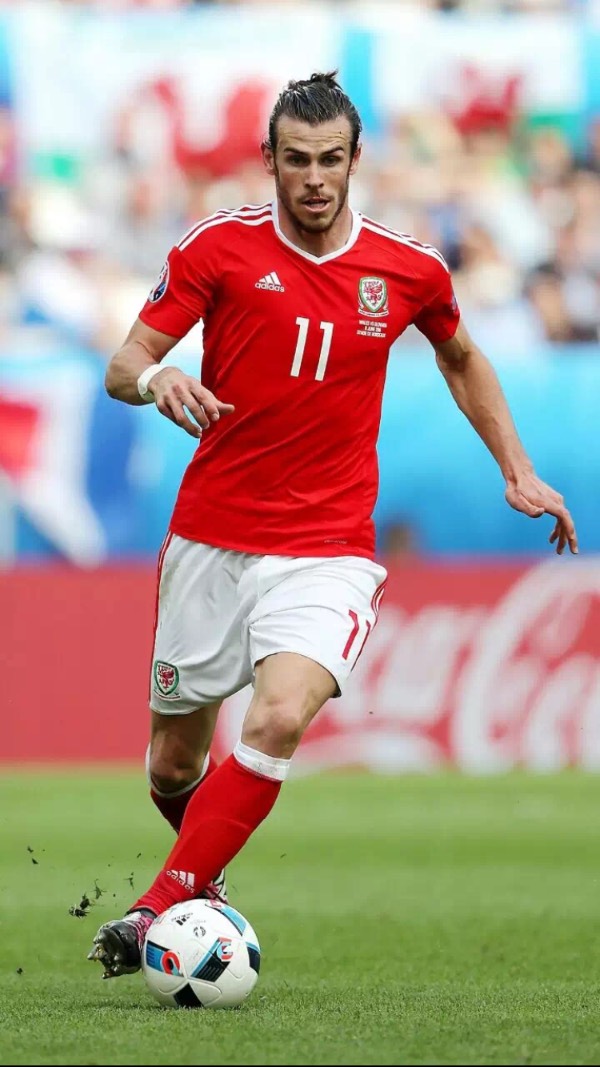 的执着追求 的执着追求