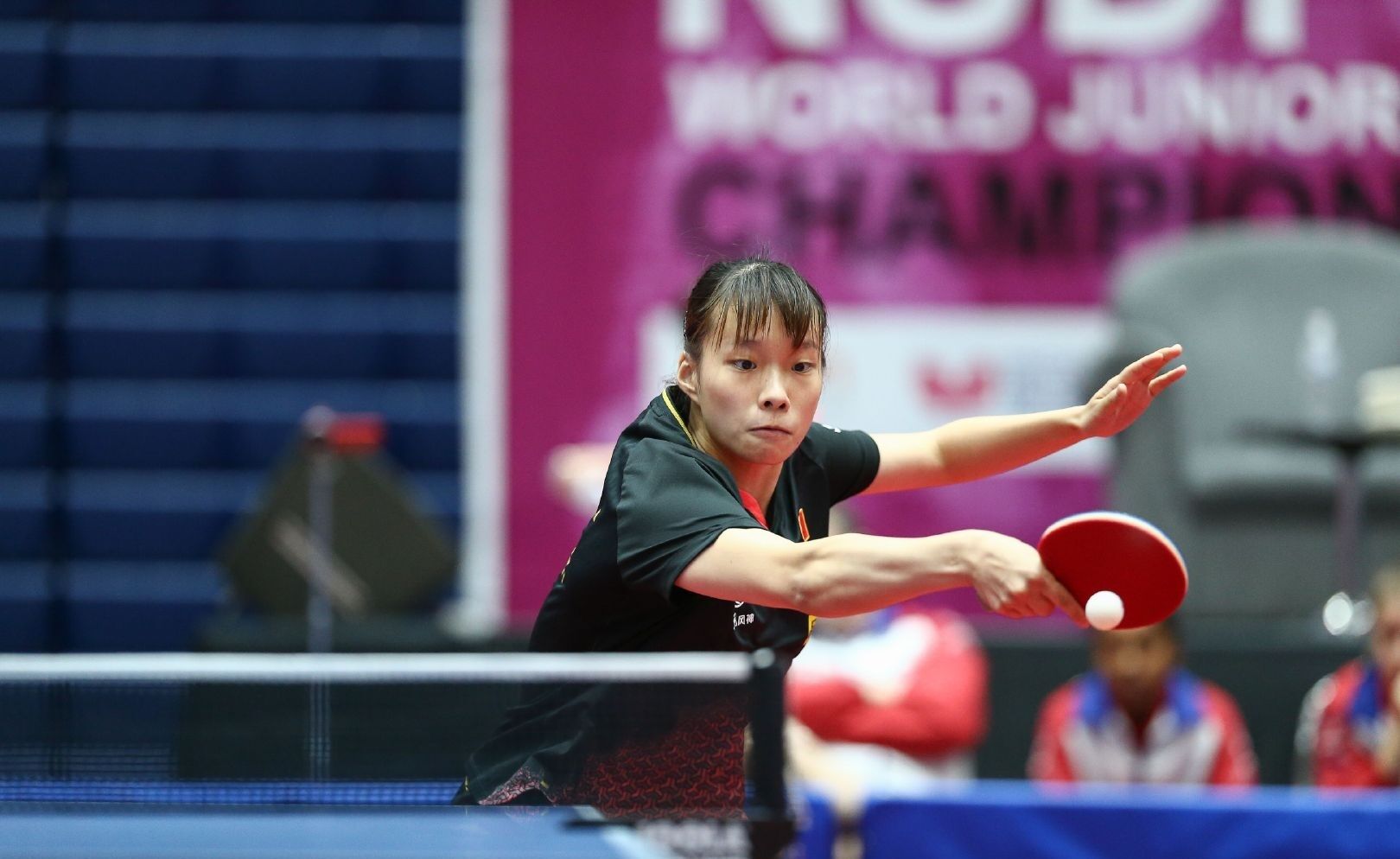 年续约合同 年续约合同