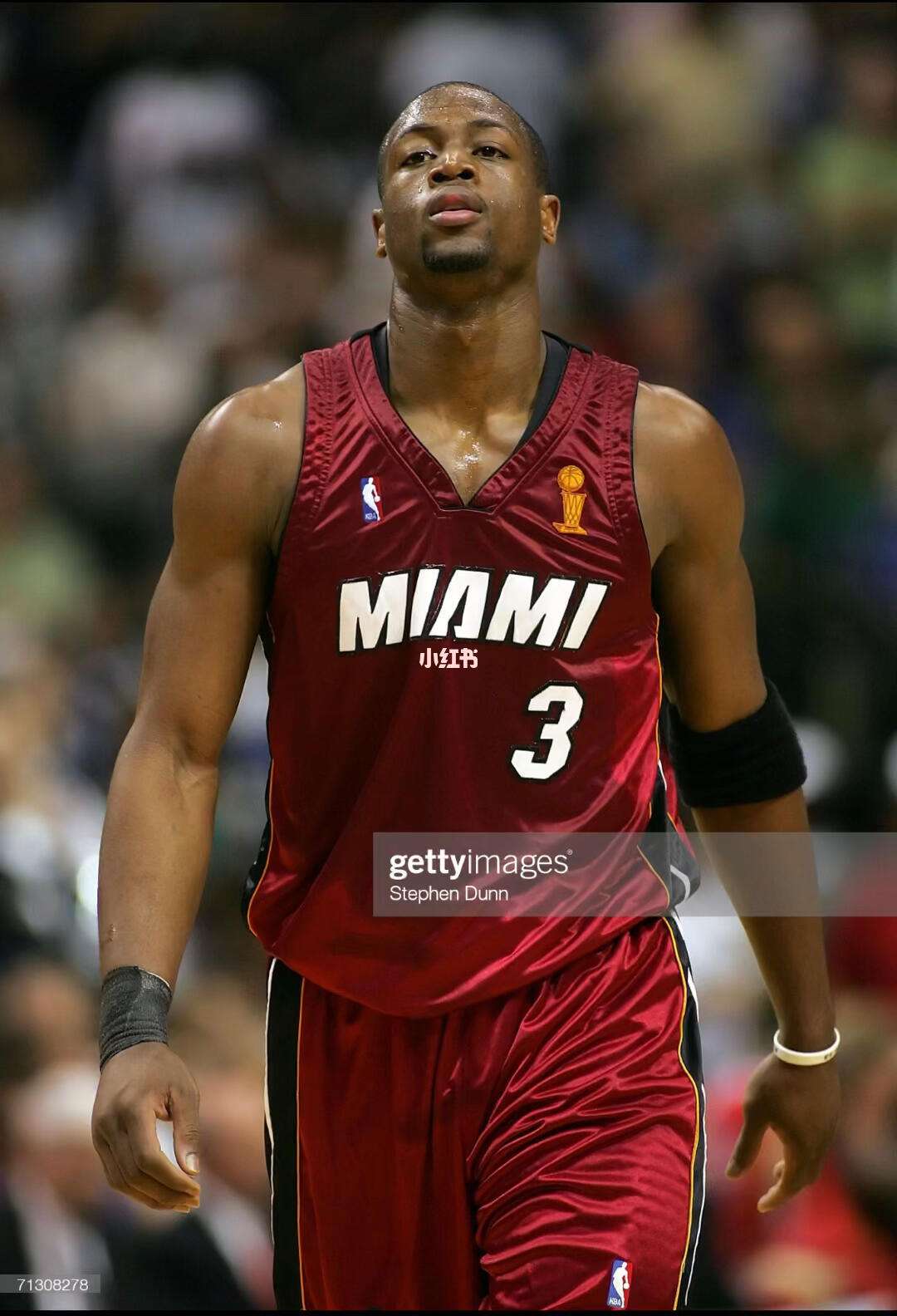 龙马强在 龙马强在